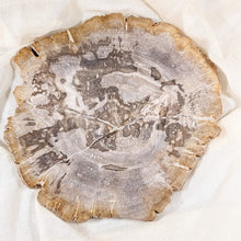 Afbeelding in Gallery-weergave laden, Versteend houten plateau - Insight Stones