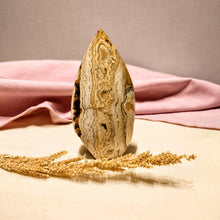 Afbeelding in Gallery-weergave laden, Gele crazy lace agaatsculptuur met druzy - Insight Stones
