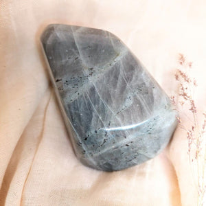 Kleine Paarse Labradorietsculptuur - Insight Stones