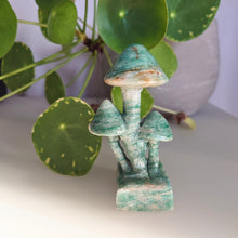 Carica l&#39;immagine nel visualizzatore di Gallery, Serpentijnpaddenstoeltje - Insight Stones