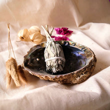 Afbeelding in Gallery-weergave laden, Abalone schelp - Insight Stones