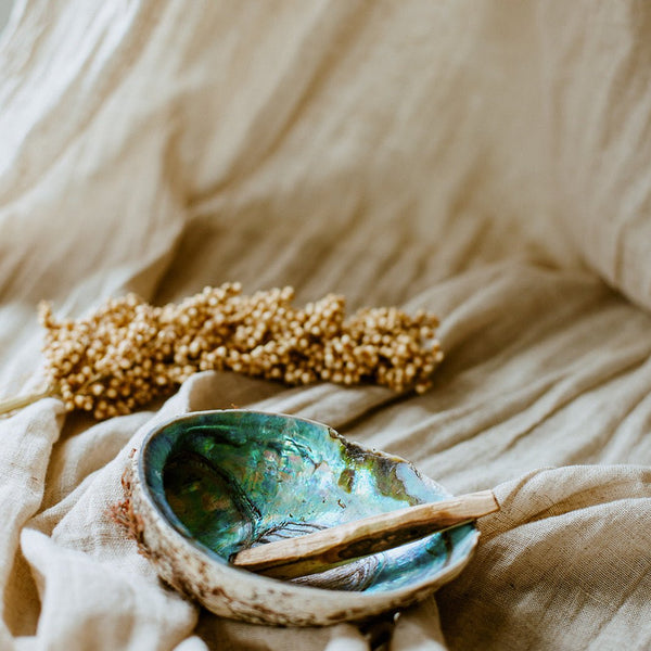 Abalone schelp - Insight Stones