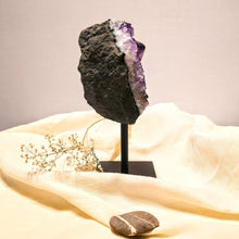 Carica l&#39;immagine nel visualizzatore di Gallery, Amethistcluster op standaard - Insight Stones