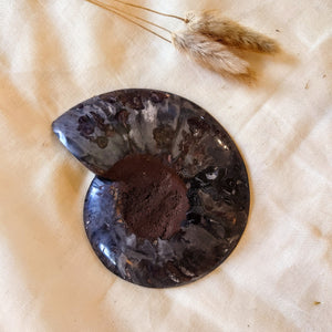 Gespleten ammoniet - Insight Stones