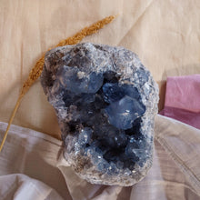 Afbeelding in Gallery-weergave laden, Grote Celestien Geode - Insight Stones