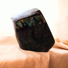 Carica l&#39;immagine nel visualizzatore di Gallery, Labradorietsculptuur - Insight Stones