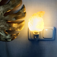 Afbeelding in Gallery-weergave laden, Oranje zoutsteen blad nachtlampje - Insight Stones