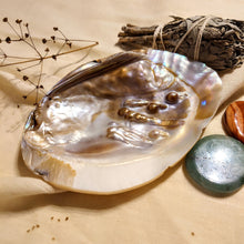 Load image into Gallery viewer, Parelschelp - Insight Stones