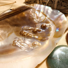 Load image into Gallery viewer, Parelschelp - Insight Stones